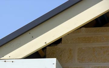 Bridge Of Earn fascia repairs