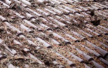 Bridge Of Earn roof cleaning companies