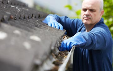 cleaning and inspecting Bridge Of Earn roofs