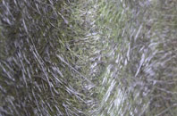 Bridge Of Earn fibreglass roof work